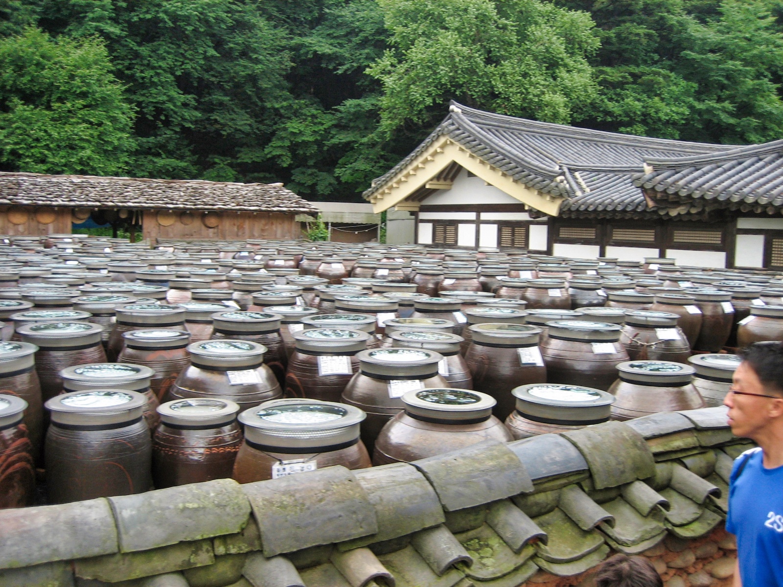 Kimchi
